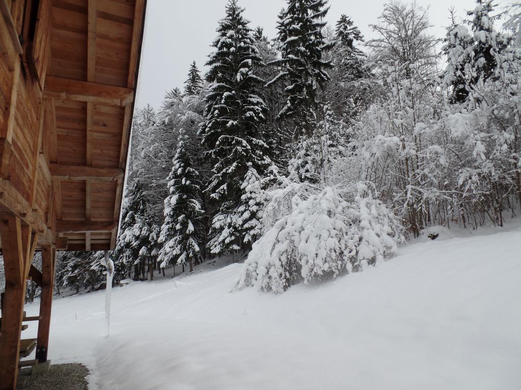 Le Caribou Villa Saint-Gervais-les-Bains Cameră foto