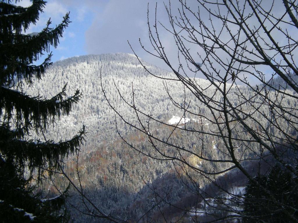 Le Caribou Villa Saint-Gervais-les-Bains Exterior foto